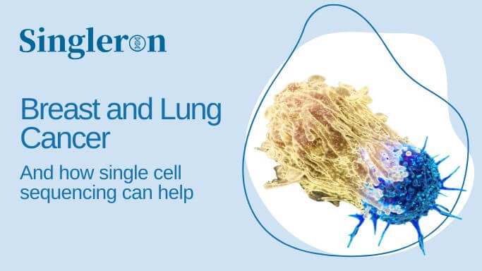 Breast and lung cancer