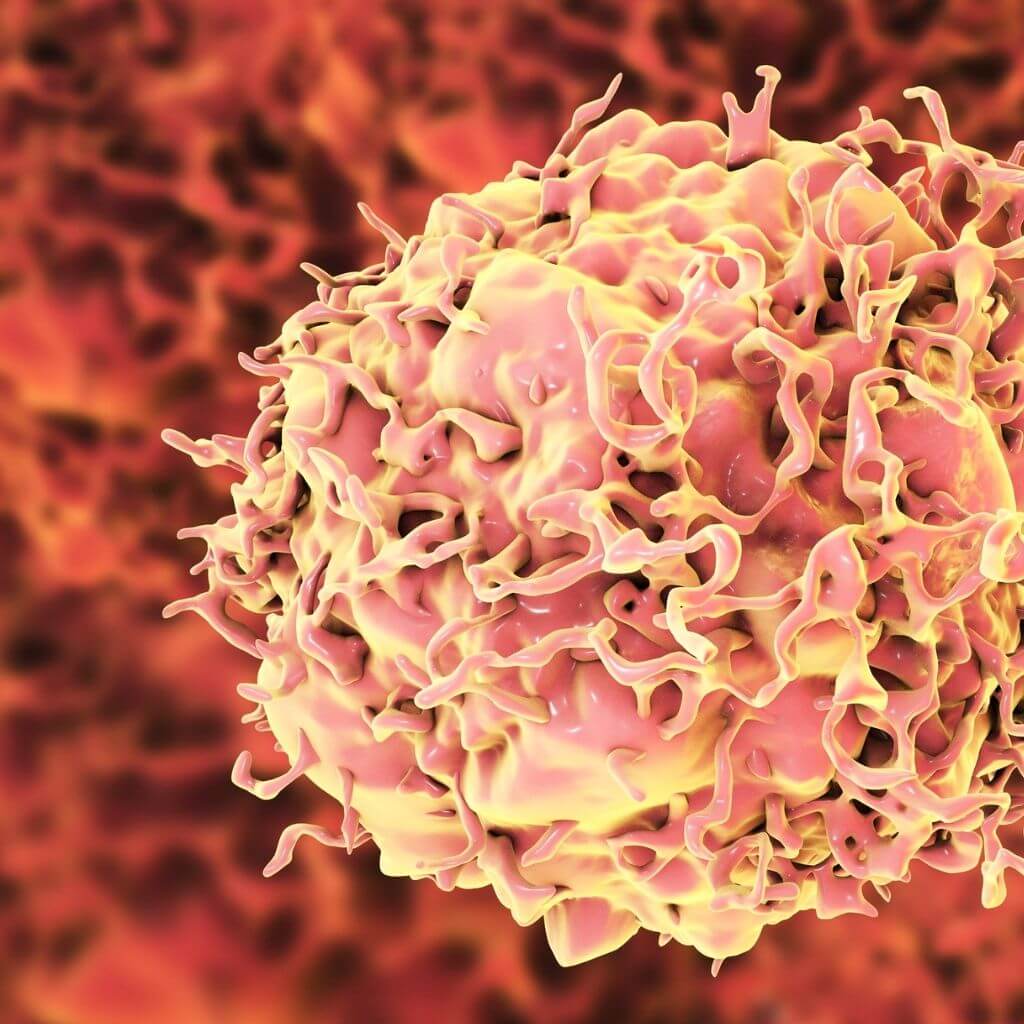Cancer cell