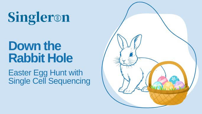 Rabit Easter