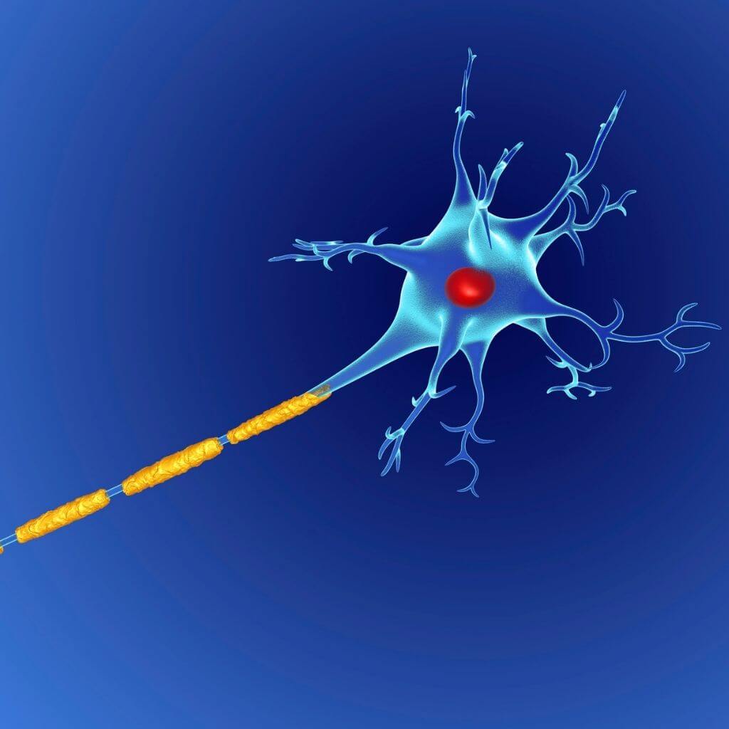 parkinson neuron