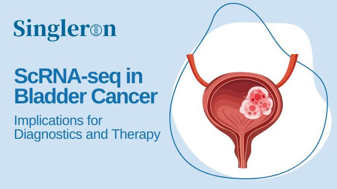 BladderCancer