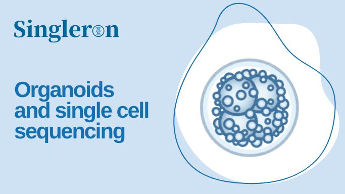 organoid-scRNAseq