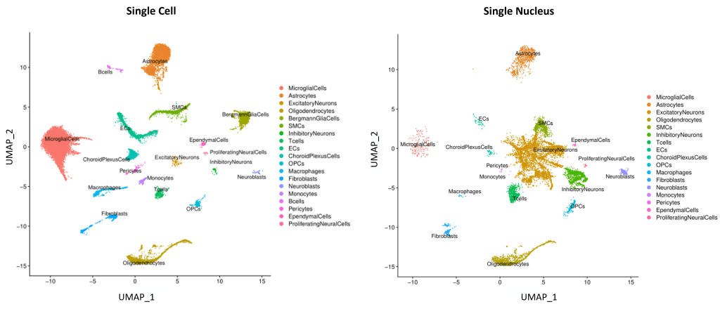 gexscope single nucleus umap