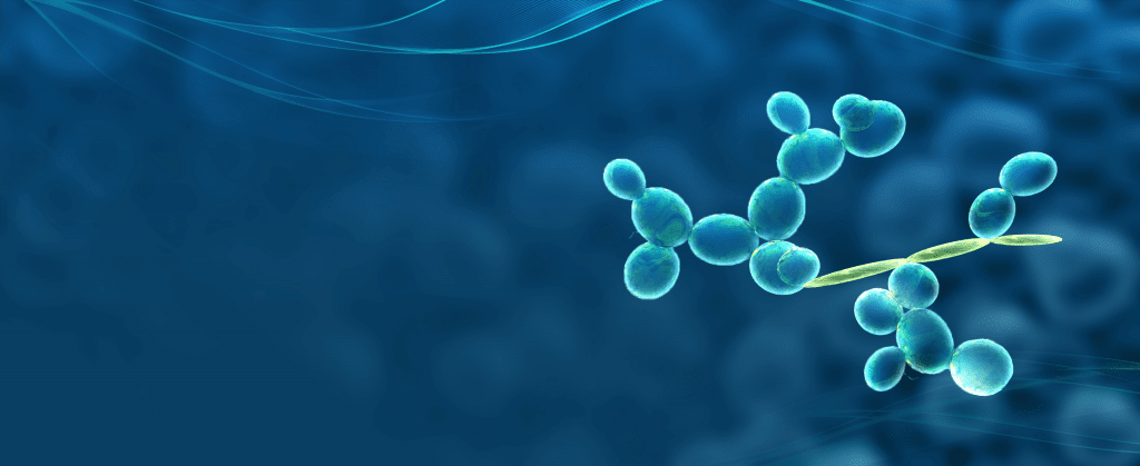 gexscope single cell yeast