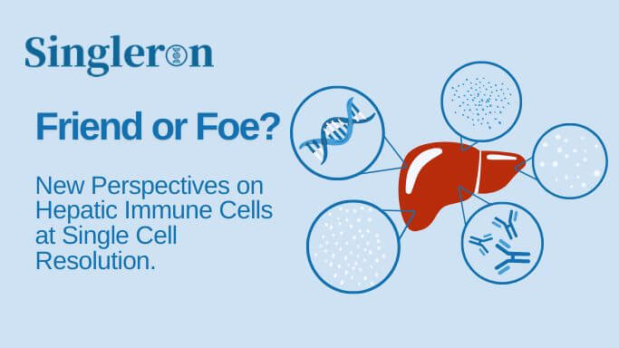Hepatic Immune Cells: ScRNA-seq