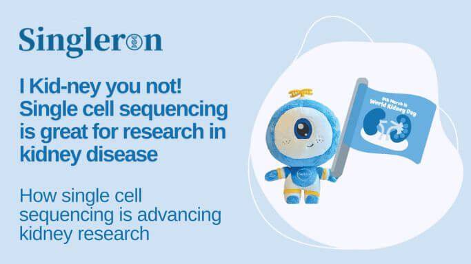 Single Cell Sequencing in Kidney Disease