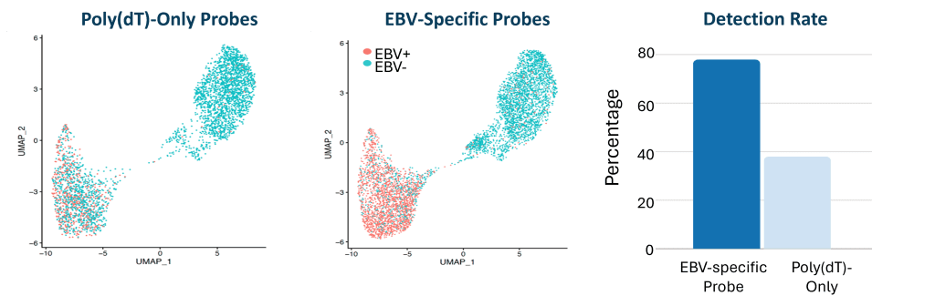 focuscope performance data