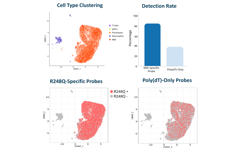focuscope performance data