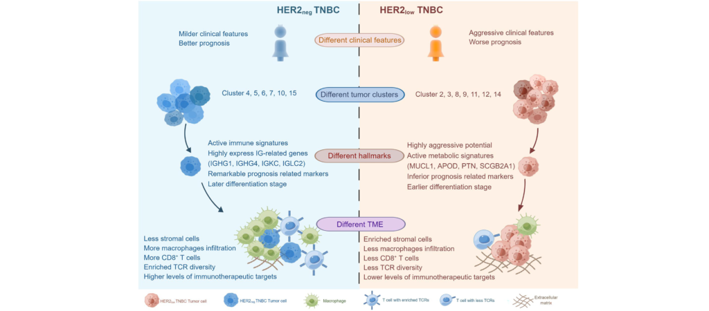 breast cancer figure 5