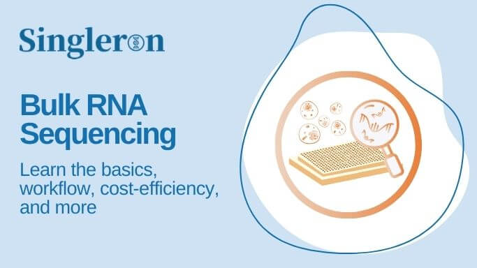 Bulk RNA Sequencing