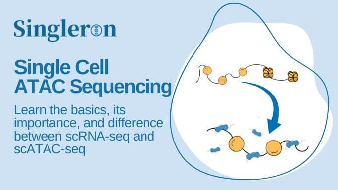 Single Cell ATAC-seq