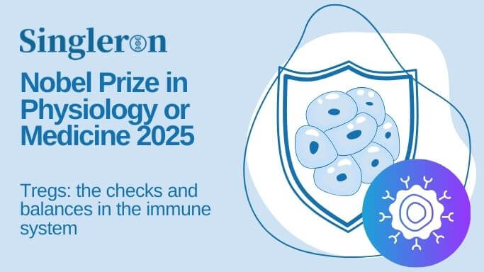 Nobel Prize in Physiology or Medicine 2025: The checks and balances in the immune system