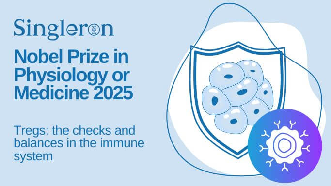 Nobel Prize in Physiology or Medicine 2025: The checks and balances in the immune system