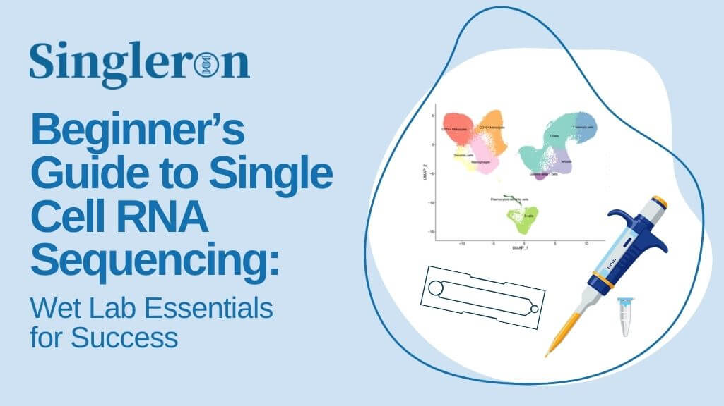 Beginner's guide scRNAseq