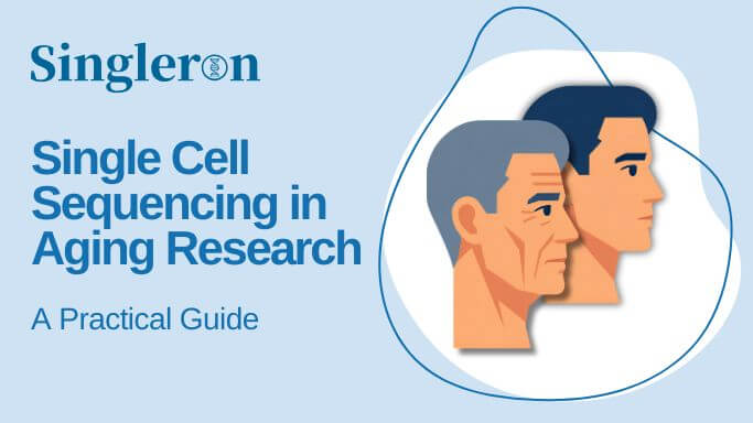 Aging and single cell sequencing