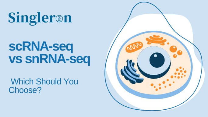 snRNA-seq vs scRNA-seq