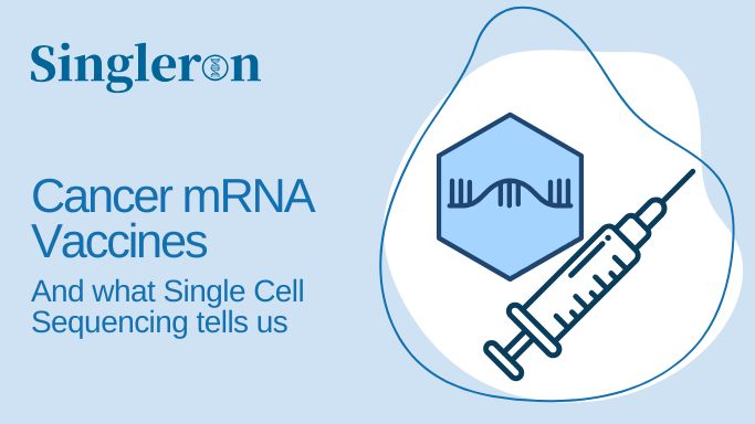 Single Cell Sequencing in Cancer mRNA Vaccine Development